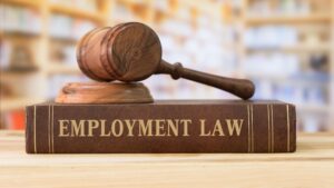 Employment law book